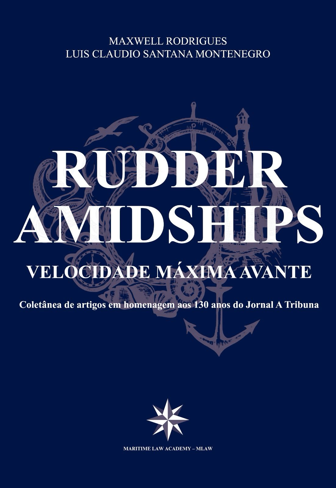 Livro O Negócio é ter um Negócio - Edição 2